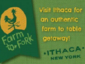 Visit Ithaca!